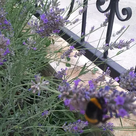 Apartmán Lola Biograd Na Moru